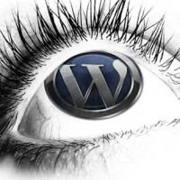 5 Things to Do after Installing WordPress